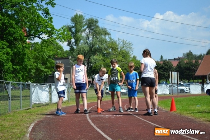 Zdjęcie w galerii na portalu naszwodzislaw.com: W Godowie walczyli o Czekoladowe Kolce [FOTO] wiadomości z regionu
