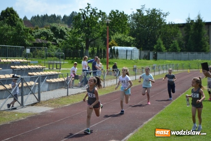 Zdjęcie w galerii na portalu naszwodzislaw.com: W Godowie walczyli o Czekoladowe Kolce [FOTO] wiadomości z regionu
