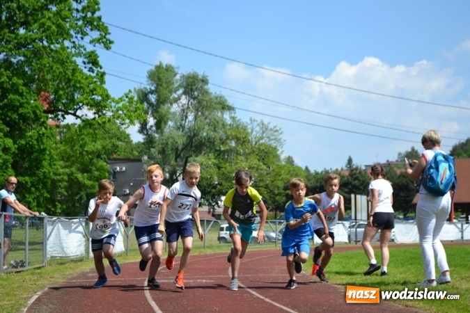 Zdjęcie w galerii na portalu naszwodzislaw.com: W Godowie walczyli o Czekoladowe Kolce [FOTO] wiadomości z regionu