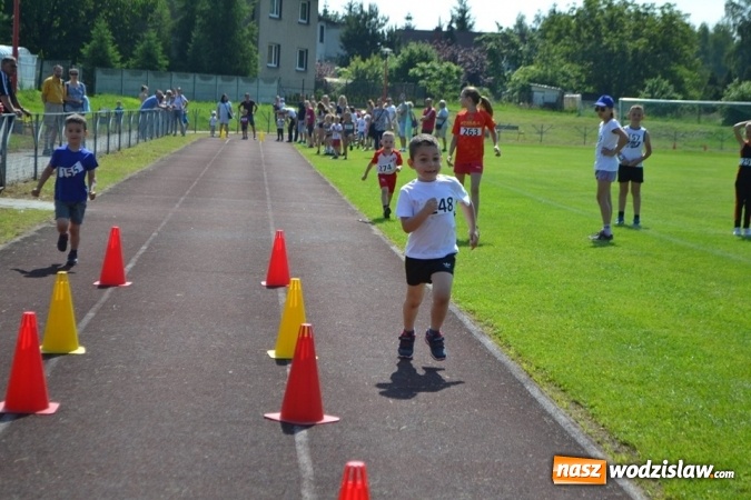 Zdjęcie w galerii na portalu naszwodzislaw.com: W Godowie walczyli o Czekoladowe Kolce [FOTO] wiadomości z regionu