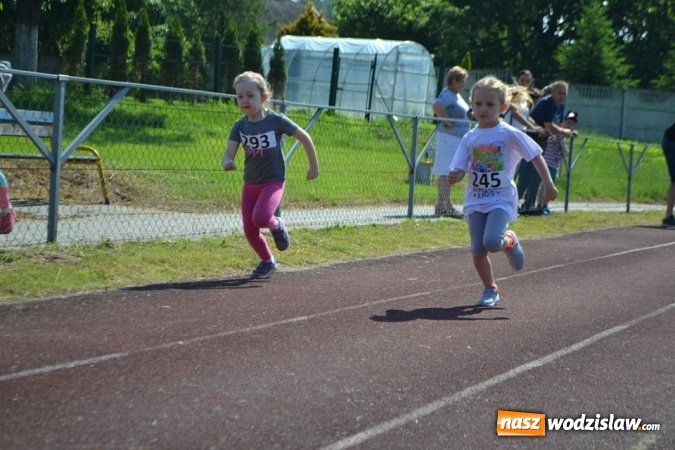 Zdjęcie w galerii na portalu naszwodzislaw.com: W Godowie walczyli o Czekoladowe Kolce [FOTO] wiadomości z regionu