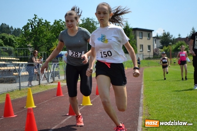 Zdjęcie w galerii na portalu naszwodzislaw.com: W Godowie walczyli o Czekoladowe Kolce [FOTO] wiadomości z regionu