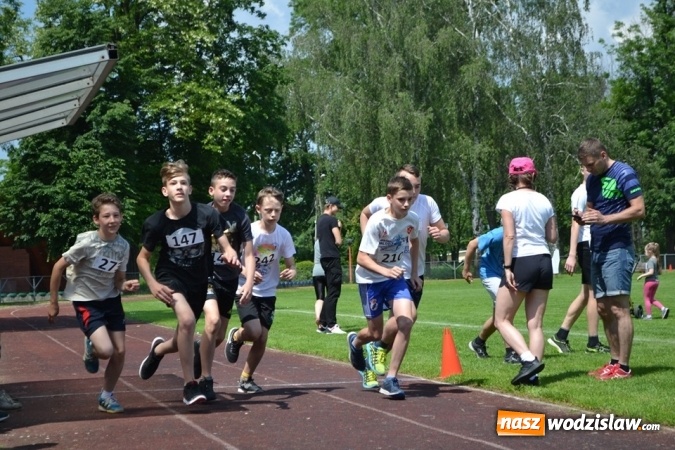 Zdjęcie w galerii na portalu naszwodzislaw.com: W Godowie walczyli o Czekoladowe Kolce [FOTO] wiadomości z regionu