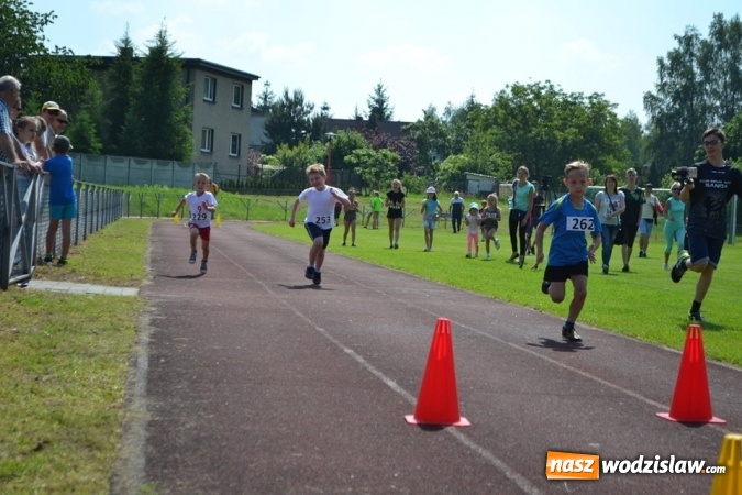 Zdjęcie w galerii na portalu naszwodzislaw.com: W Godowie walczyli o Czekoladowe Kolce [FOTO] wiadomości z regionu
