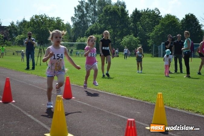 Zdjęcie w galerii na portalu naszwodzislaw.com: W Godowie walczyli o Czekoladowe Kolce [FOTO] wiadomości z regionu