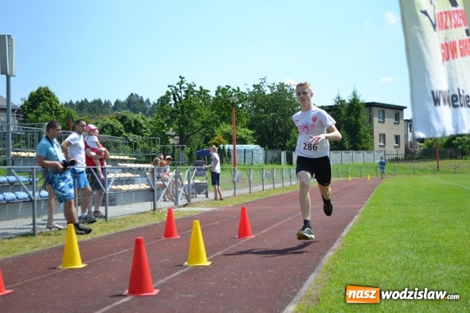 Zdjęcie w galerii na portalu naszwodzislaw.com: W Godowie walczyli o Czekoladowe Kolce [FOTO] wiadomości z regionu