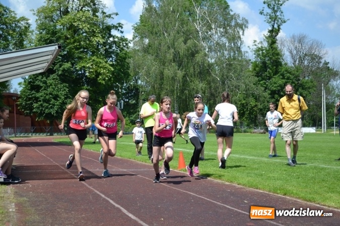 Zdjęcie w galerii na portalu naszwodzislaw.com: W Godowie walczyli o Czekoladowe Kolce [FOTO] wiadomości z regionu