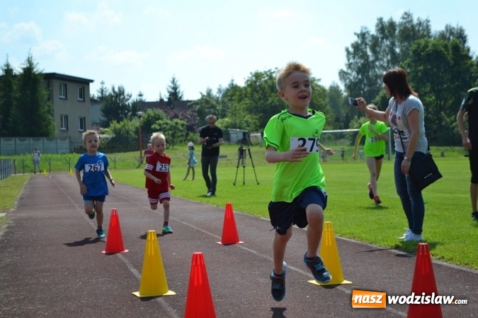 Zdjęcie w galerii na portalu naszwodzislaw.com: W Godowie walczyli o Czekoladowe Kolce [FOTO] wiadomości z regionu