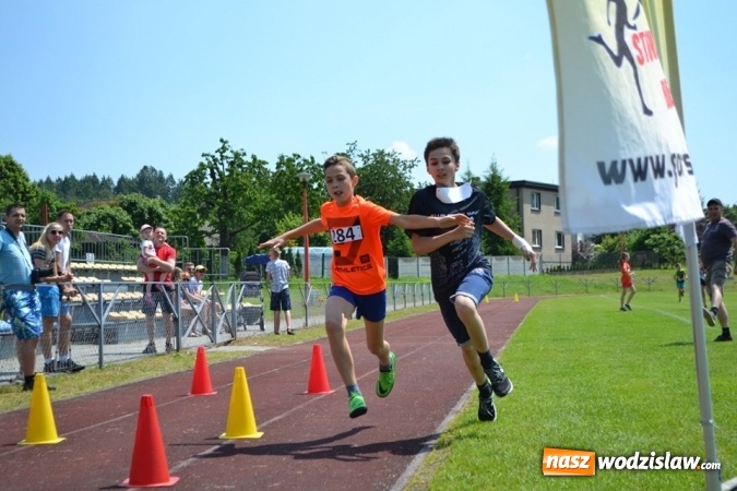 Zdjęcie w galerii na portalu naszwodzislaw.com: W Godowie walczyli o Czekoladowe Kolce [FOTO] wiadomości z regionu