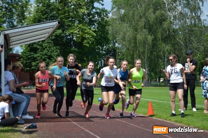 Zdjęcie w galerii na portalu naszwodzislaw.com: W Godowie walczyli o Czekoladowe Kolce [FOTO] wiadomości z regionu