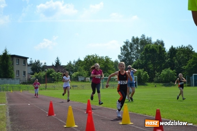 Zdjęcie w galerii na portalu naszwodzislaw.com: W Godowie walczyli o Czekoladowe Kolce [FOTO] wiadomości z regionu