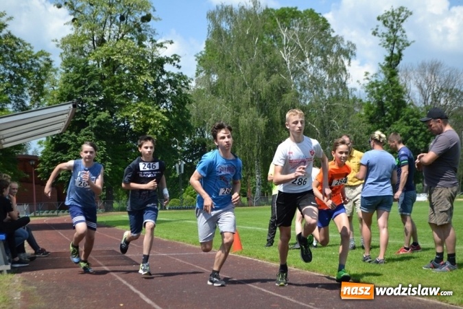 Zdjęcie w galerii na portalu naszwodzislaw.com: W Godowie walczyli o Czekoladowe Kolce [FOTO] wiadomości z regionu