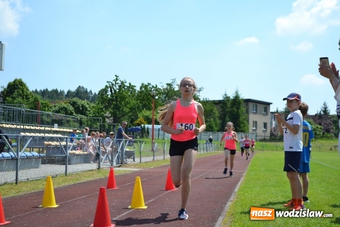 Zdjęcie w galerii na portalu naszwodzislaw.com: W Godowie walczyli o Czekoladowe Kolce [FOTO] wiadomości z regionu