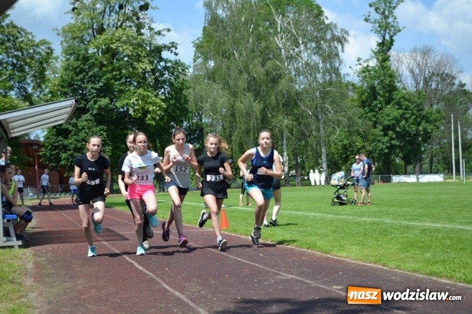 Zdjęcie w galerii na portalu naszwodzislaw.com: W Godowie walczyli o Czekoladowe Kolce [FOTO] wiadomości z regionu