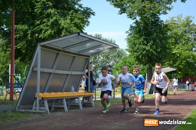 Zdjęcie w galerii na portalu naszwodzislaw.com: W Godowie walczyli o Czekoladowe Kolce [FOTO] wiadomości z regionu