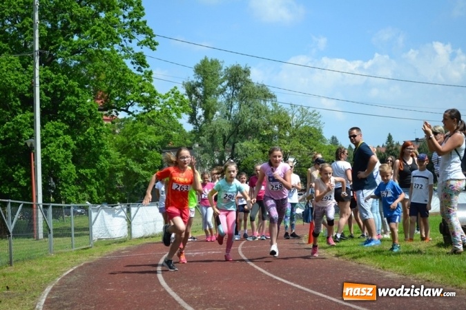 Zdjęcie w galerii na portalu naszwodzislaw.com: W Godowie walczyli o Czekoladowe Kolce [FOTO] wiadomości z regionu