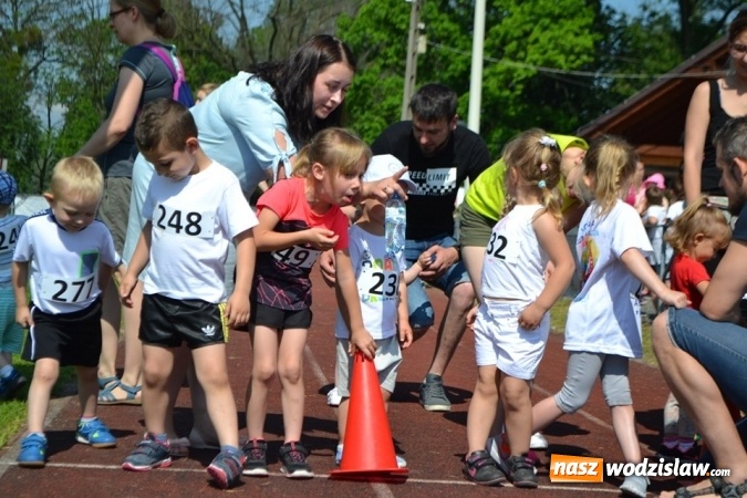 Zdjęcie w galerii na portalu naszwodzislaw.com: W Godowie walczyli o Czekoladowe Kolce [FOTO] wiadomości z regionu