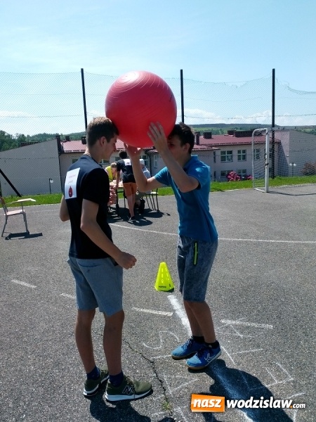 Zdjęcie w galerii na portalu naszwodzislaw.com: Zielono mi... Niecodzienne spotkanie w Gogołowej wiadomości z regionu