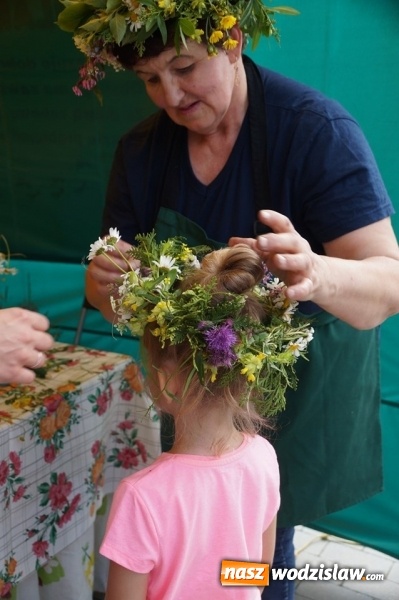 Zdjęcie w galerii na portalu naszwodzislaw.com: Energetyczne 50 Dni Wodzisławia za nami [FOTO] wiadomości z regionu