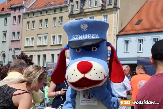 Zdjęcie w galerii na portalu naszwodzislaw.com: Festyn Oazy Aktywności za nami wiadomości z regionu