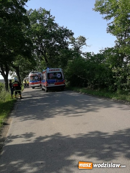 Zdjęcie w galerii na portalu naszwodzislaw.com: Rozpędzona toyota uderzyła w drzewo. Trzy osoby ranne [FOTO i WIDEO] wiadomości z regionu
