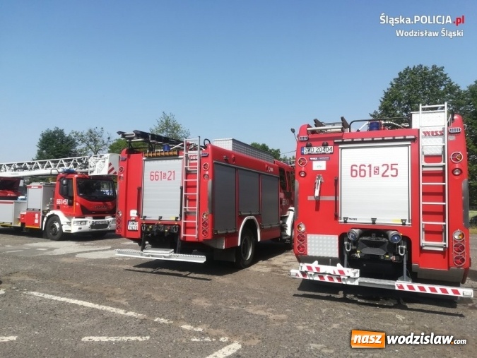 Zdjęcie w galerii na portalu naszwodzislaw.com: Wodzisławscy policjanci na Olimpiadzie Osób Niepełnosprawnych wiadomości z regionu