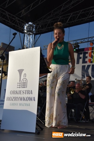 Zdjęcie w galerii na portalu naszwodzislaw.com: Festiwal Kultury na wodzisławskim Rynku za nami [FOTO] wiadomości z regionu