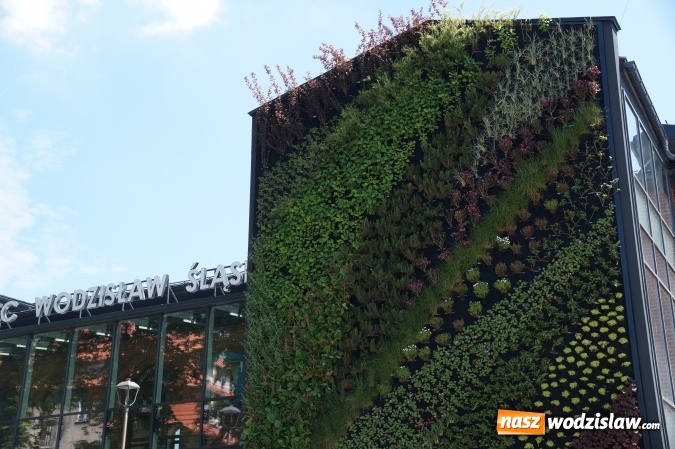 Zdjęcie w galerii na portalu naszwodzislaw.com: Dworzec bez tajemnic. 1 lipca zajrzysz w każdy zakamarek  wiadomości z regionu