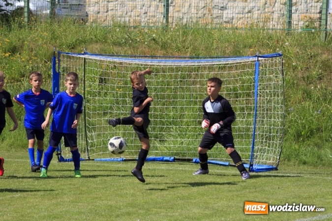 Zdjęcie w galerii na portalu naszwodzislaw.com: II Piknik Rodzinny na Stadionie Śląskim za nami wiadomości z regionu