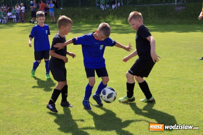 Zdjęcie w galerii na portalu naszwodzislaw.com: II Piknik Rodzinny na Stadionie Śląskim za nami wiadomości z regionu