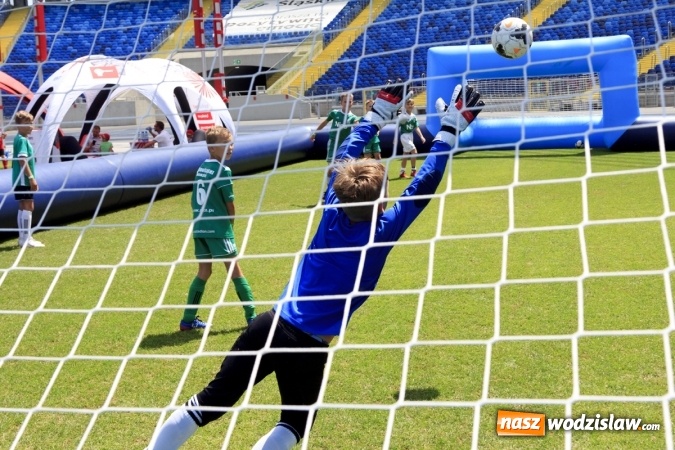 Zdjęcie w galerii na portalu naszwodzislaw.com: II Piknik Rodzinny na Stadionie Śląskim za nami wiadomości z regionu