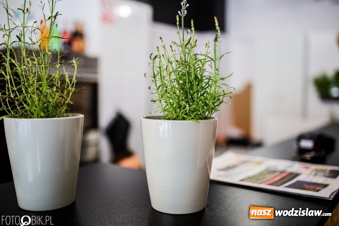 Zdjęcie w galerii na portalu naszwodzislaw.com: Nowe miejsce na kulinarnej mapie Rybnika. SALUTO street food - przyjdź i zjedz zapiekankę wiadomości z regionu