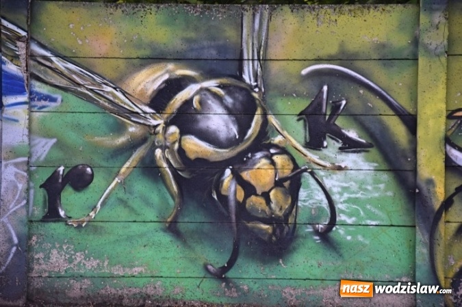 Zdjęcie w galerii na portalu naszwodzislaw.com: Rydułtowy to miasto, w którym króluje street art [FOTO] wiadomości z regionu