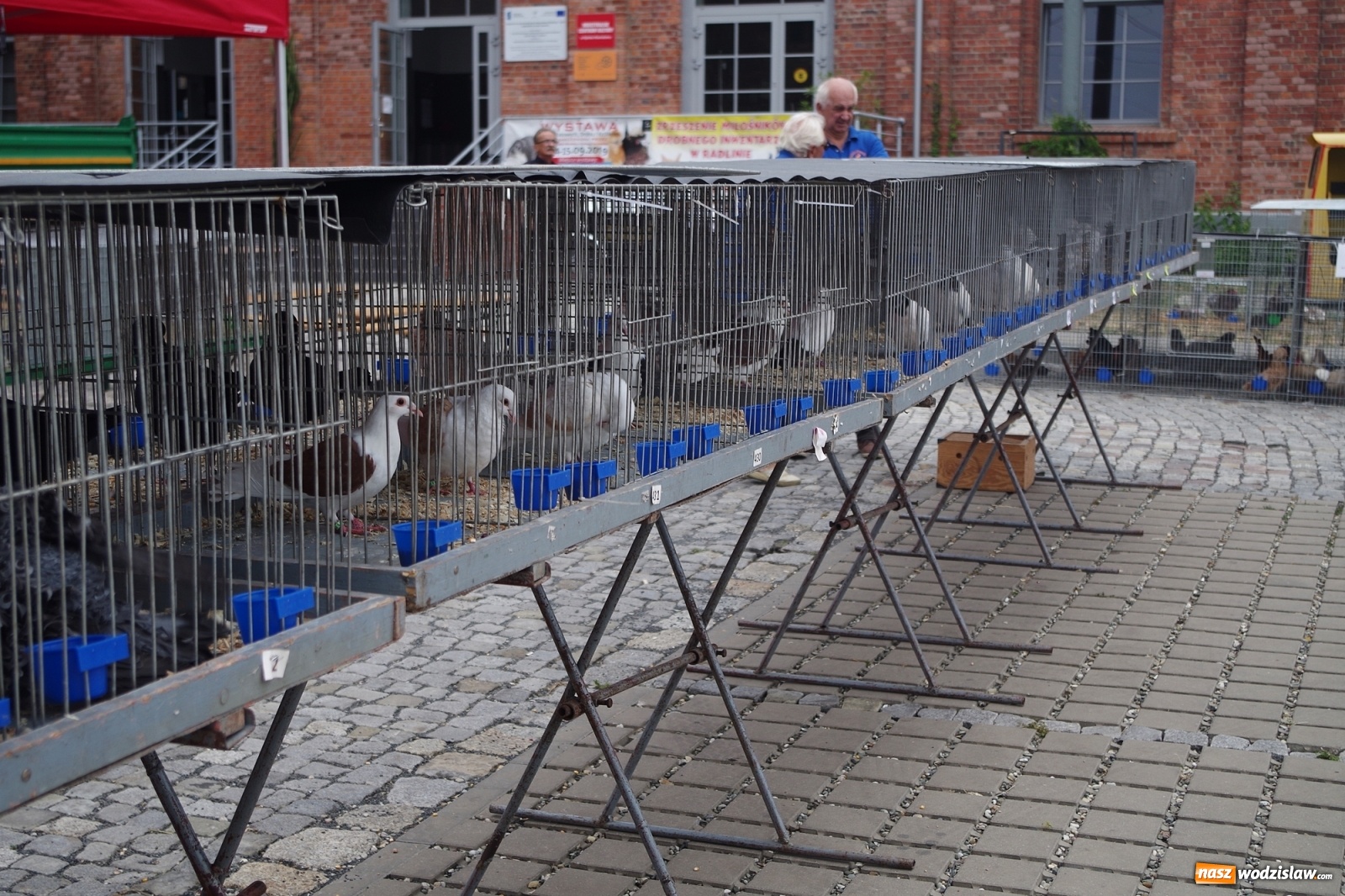 Zdjęcie w galerii na portalu naszwodzislaw.com: Radlińskie piękności pokazane w rybnickiej kopalni [FOTO] wiadomości z regionu