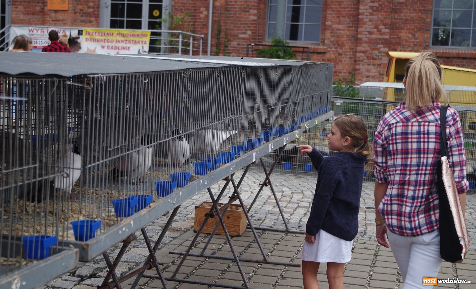 Zdjęcie w galerii na portalu naszwodzislaw.com: Radlińskie piękności pokazane w rybnickiej kopalni [FOTO] wiadomości z regionu