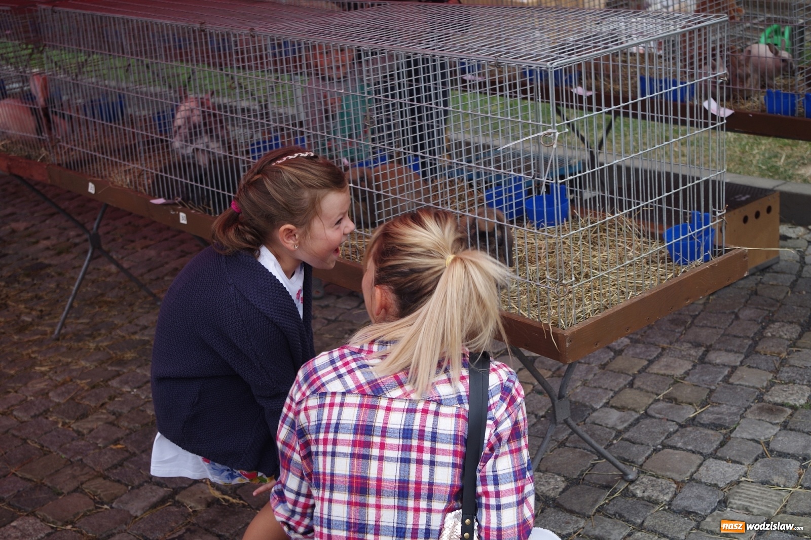 Zdjęcie w galerii na portalu naszwodzislaw.com: Radlińskie piękności pokazane w rybnickiej kopalni [FOTO] wiadomości z regionu