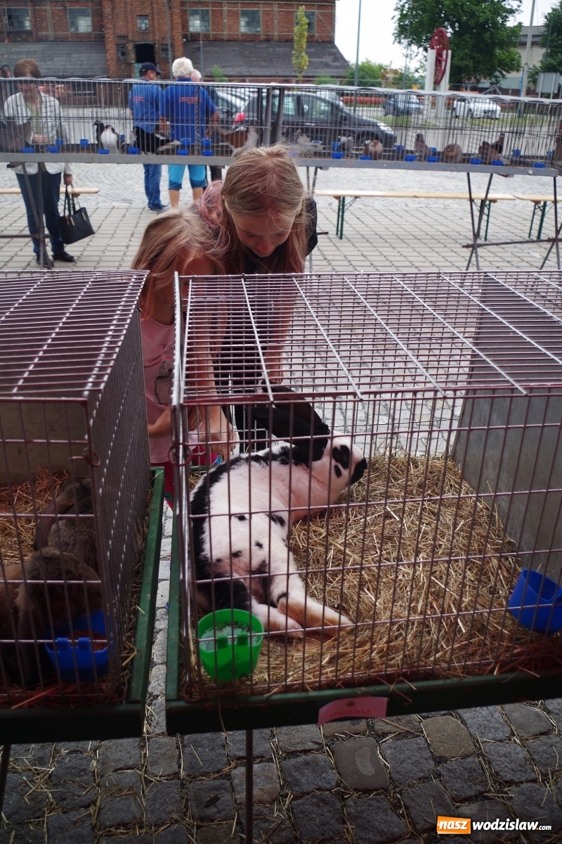 Zdjęcie w galerii na portalu naszwodzislaw.com: Radlińskie piękności pokazane w rybnickiej kopalni [FOTO] wiadomości z regionu