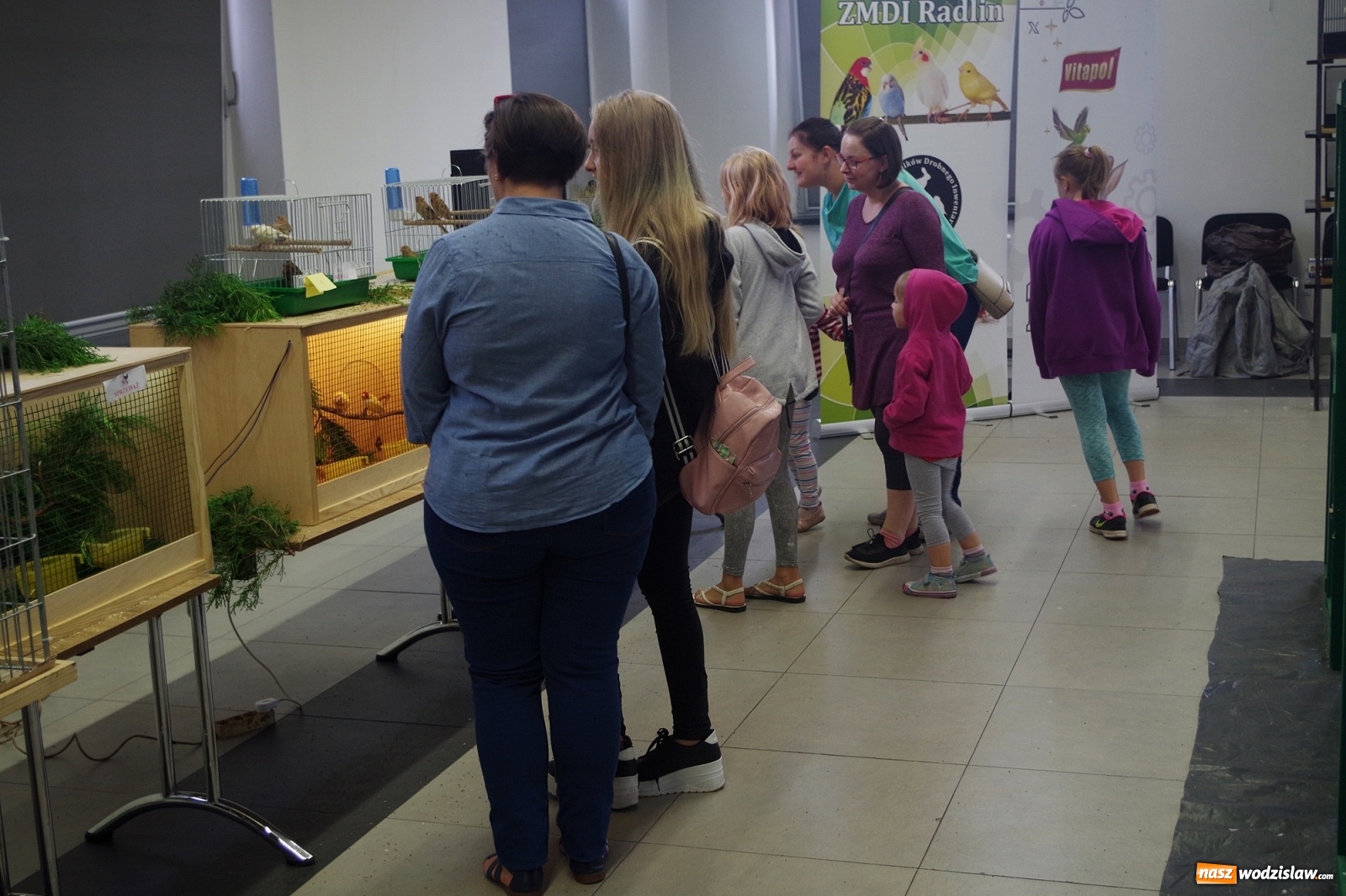 Zdjęcie w galerii na portalu naszwodzislaw.com: Radlińskie piękności pokazane w rybnickiej kopalni [FOTO] wiadomości z regionu