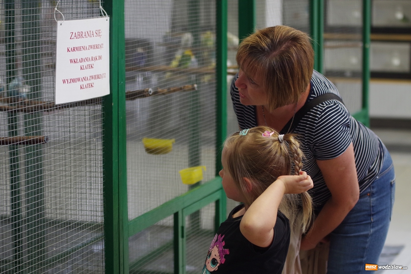 Zdjęcie w galerii na portalu naszwodzislaw.com: Radlińskie piękności pokazane w rybnickiej kopalni [FOTO] wiadomości z regionu