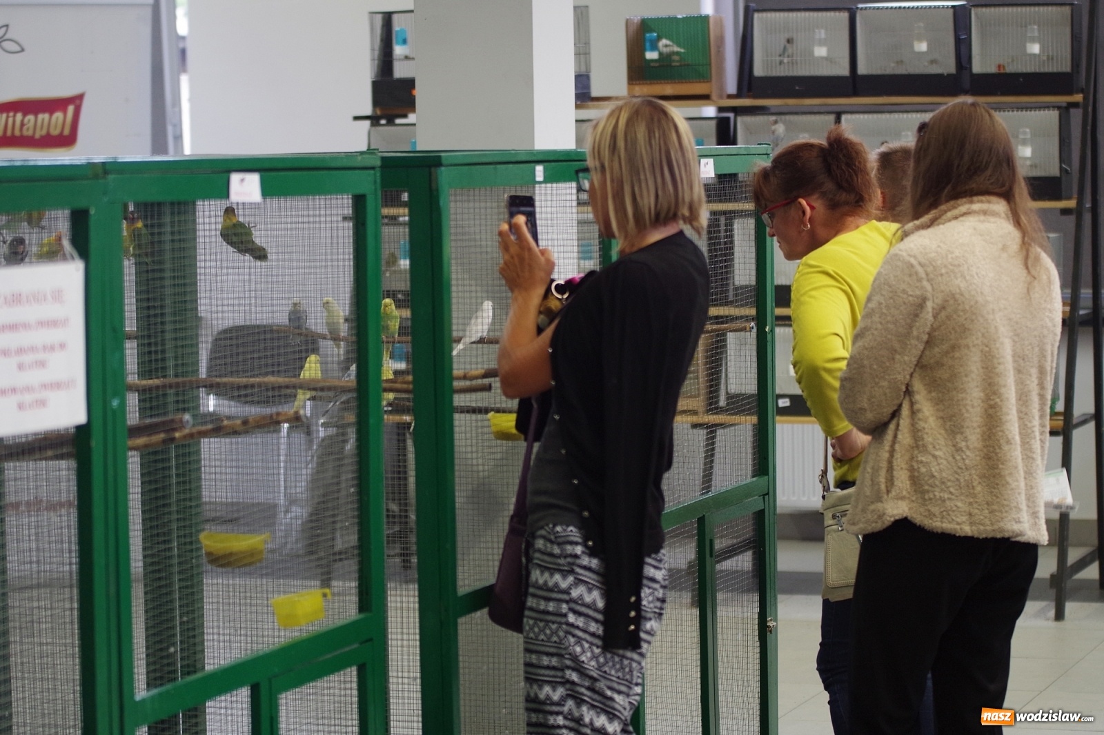 Zdjęcie w galerii na portalu naszwodzislaw.com: Radlińskie piękności pokazane w rybnickiej kopalni [FOTO] wiadomości z regionu