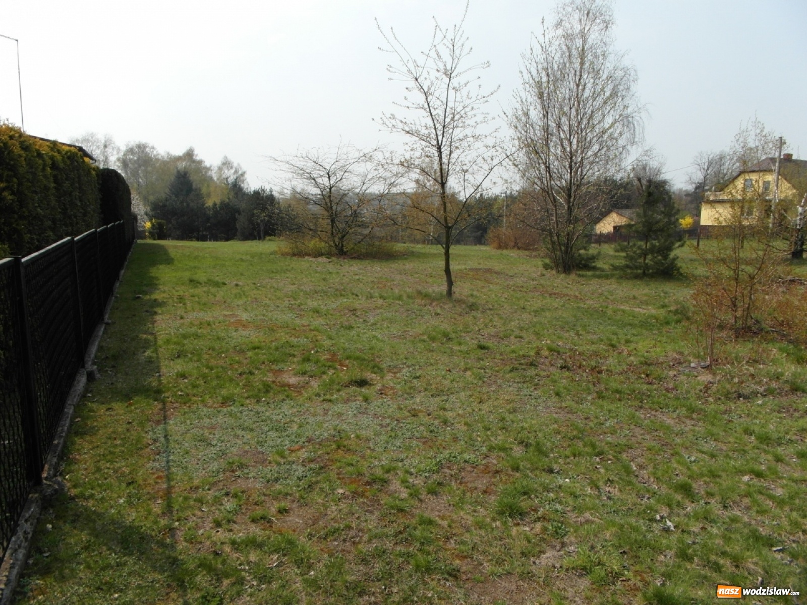 Zdjęcie w galerii na portalu naszwodzislaw.com: Działka pod zabudowę mieszkaniową na sprzedaż wiadomości z regionu