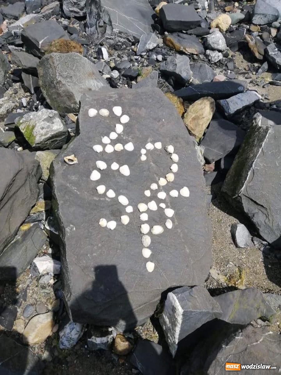 Zdjęcie w galerii na portalu naszwodzislaw.com: Logistycy z rydułtowskiego technikum praktykowali w Europie [FOTO] wiadomości z regionu