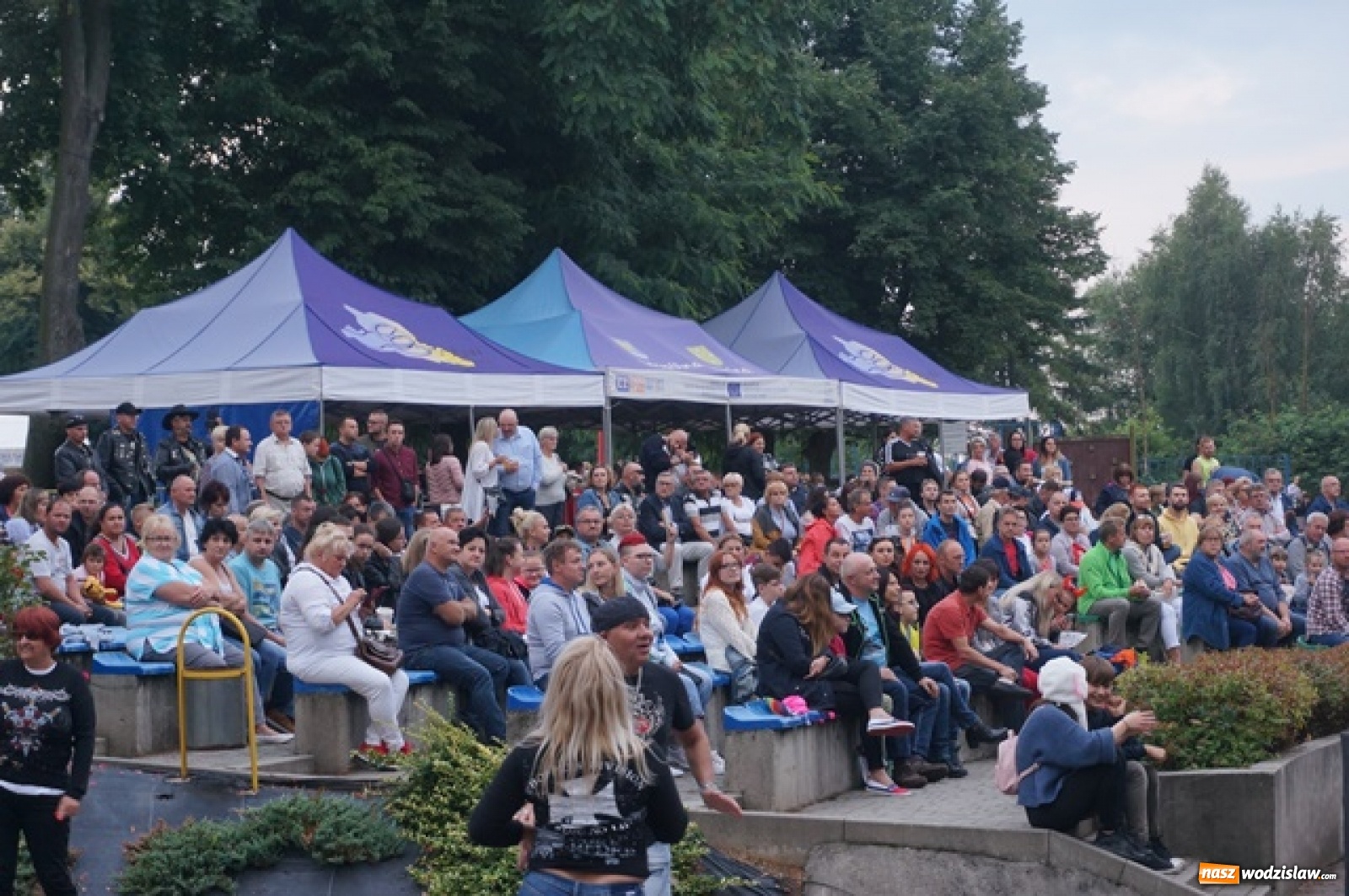 Zdjęcie w galerii na portalu naszwodzislaw.com: Koncert Sylwii Grzeszczak zgromadził tłumy na Dniach Godowa [FOTO] wiadomości z regionu