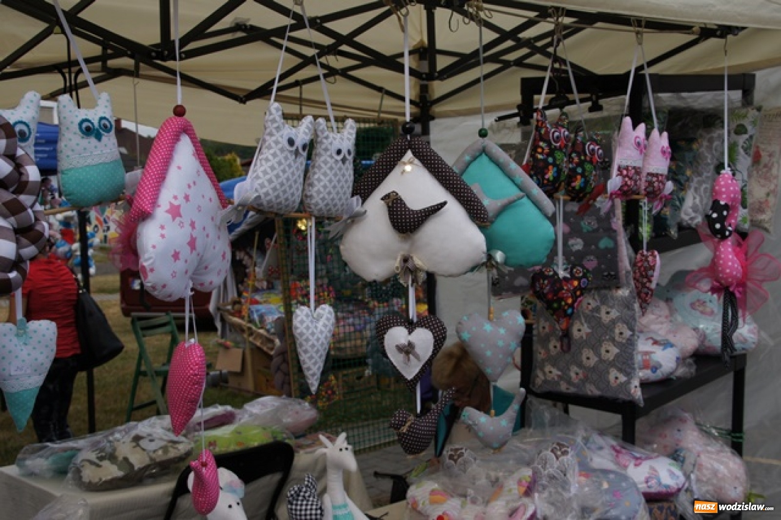 Zdjęcie w galerii na portalu naszwodzislaw.com: Koncert Sylwii Grzeszczak zgromadził tłumy na Dniach Godowa [FOTO] wiadomości z regionu