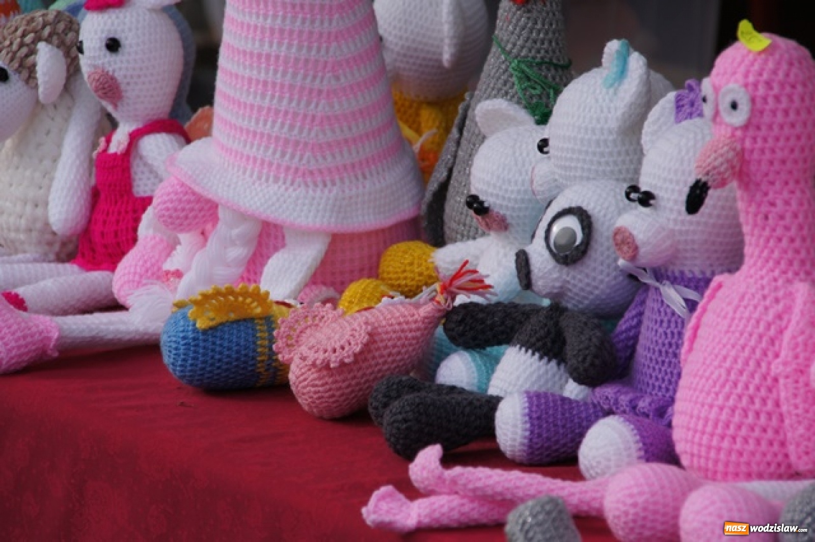 Zdjęcie w galerii na portalu naszwodzislaw.com: Koncert Sylwii Grzeszczak zgromadził tłumy na Dniach Godowa [FOTO] wiadomości z regionu