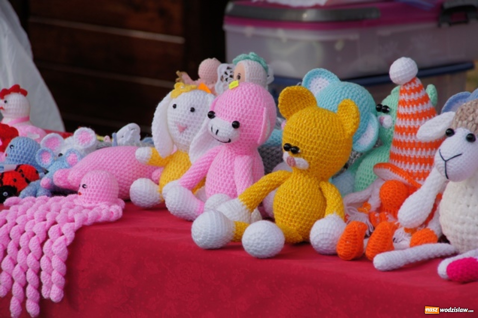 Zdjęcie w galerii na portalu naszwodzislaw.com: Koncert Sylwii Grzeszczak zgromadził tłumy na Dniach Godowa [FOTO] wiadomości z regionu