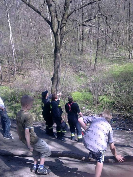 Zdjęcie w galerii na portalu naszwodzislaw.com: Dzika huśtawka z liny i gałęzi usunięta wiadomości z regionu