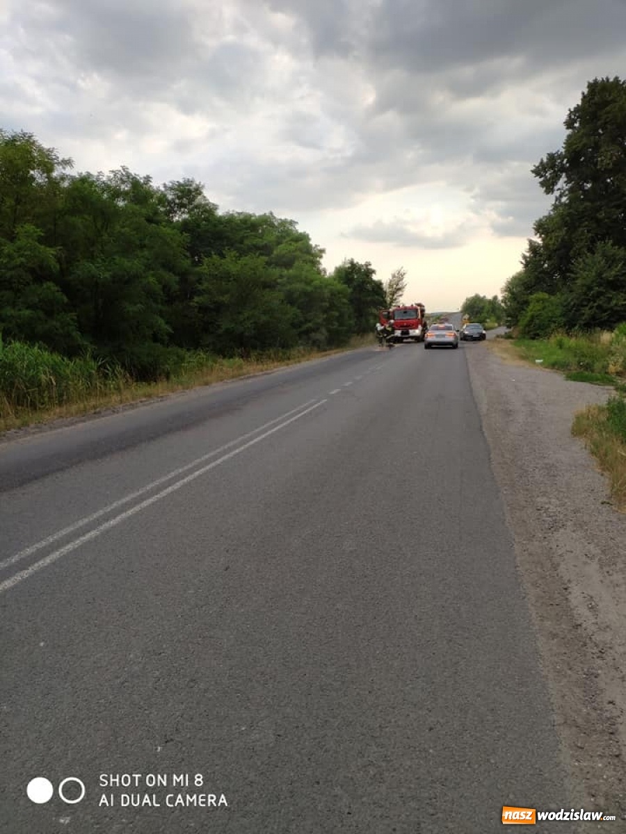 Zdjęcie w galerii na portalu naszwodzislaw.com: Trzy kilometry do posprzątania  wiadomości z regionu