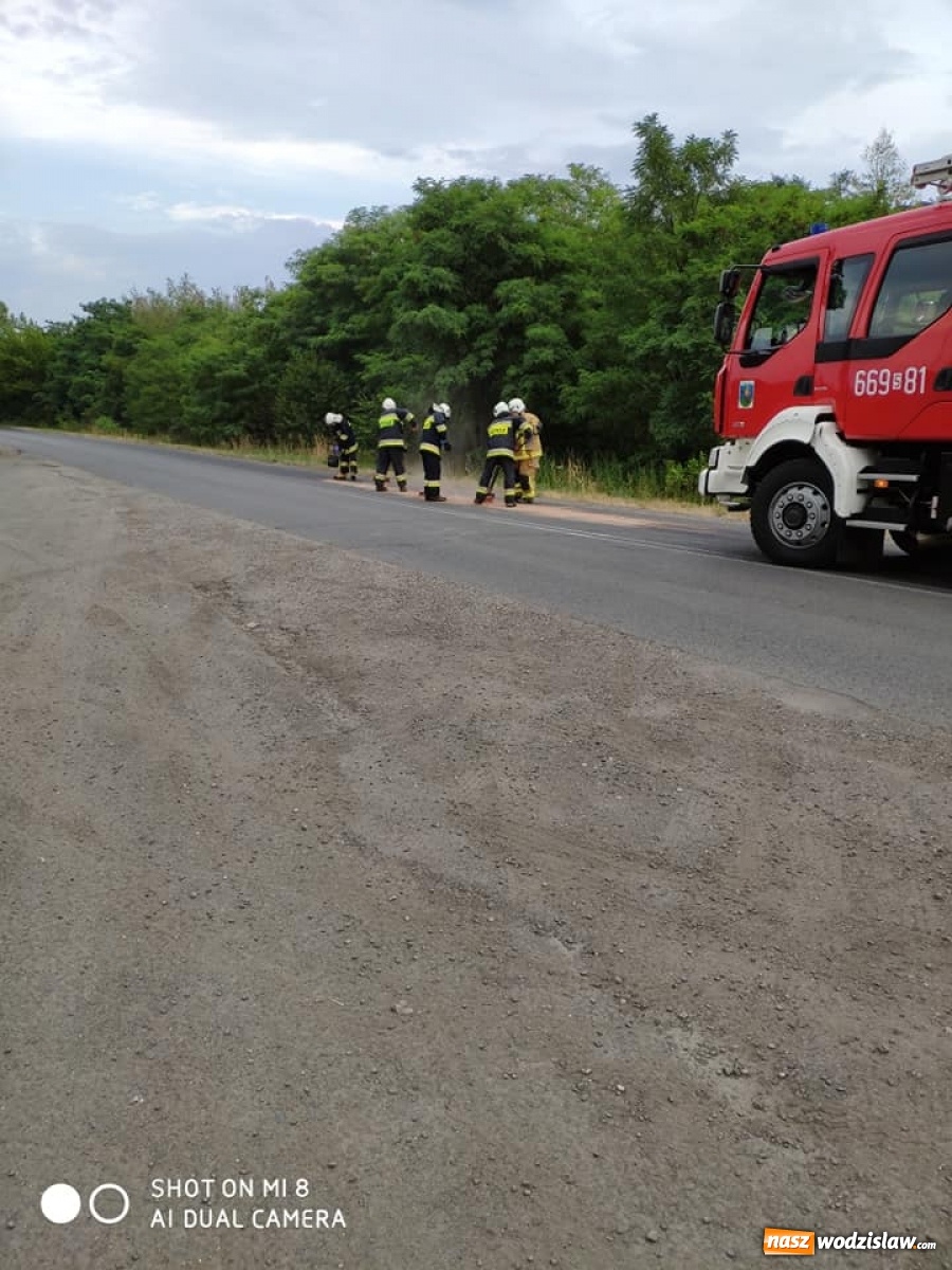 Zdjęcie w galerii na portalu naszwodzislaw.com: Trzy kilometry do posprzątania  wiadomości z regionu
