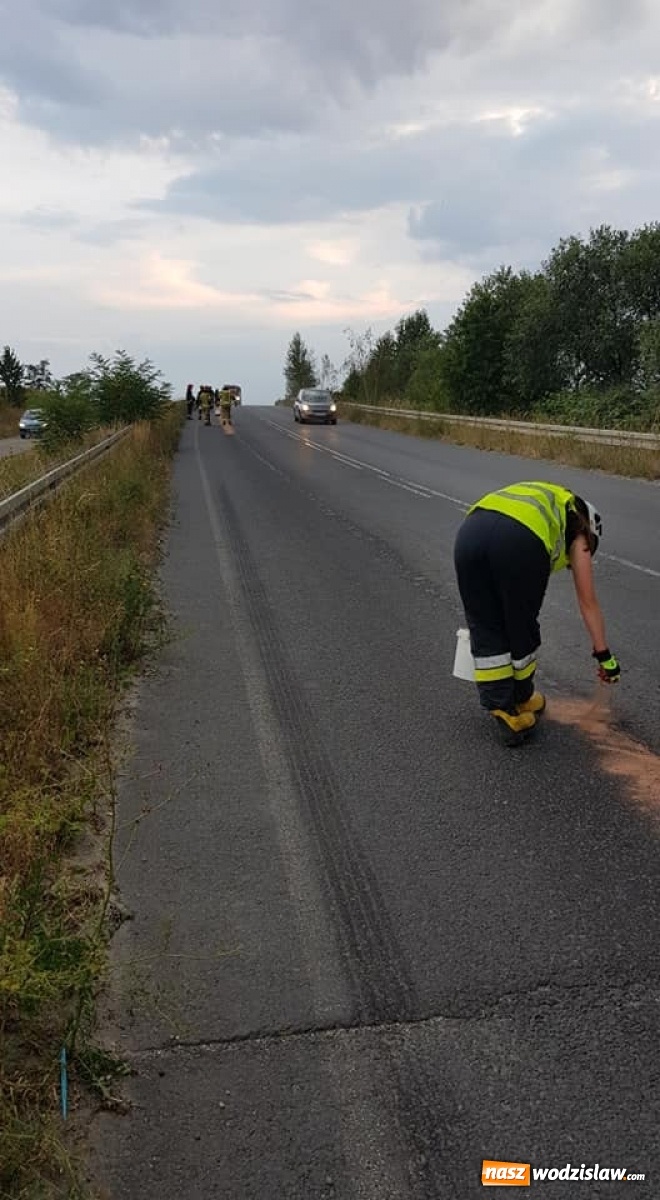 Zdjęcie w galerii na portalu naszwodzislaw.com: Trzy kilometry do posprzątania  wiadomości z regionu